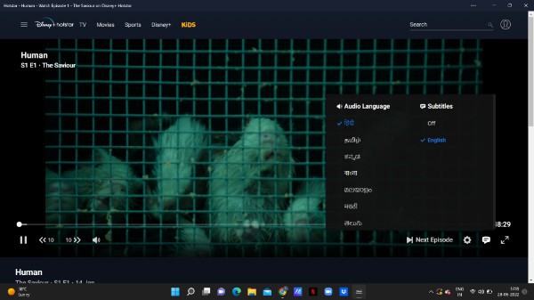 How To Change Audio Language In Hotstar