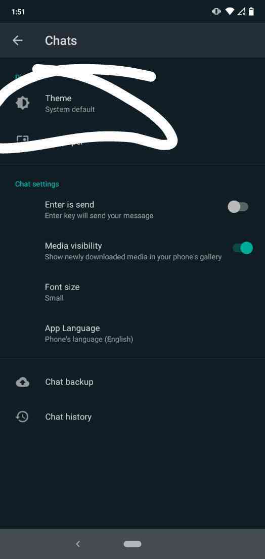 How To Change WhatsApp Theme In Mi