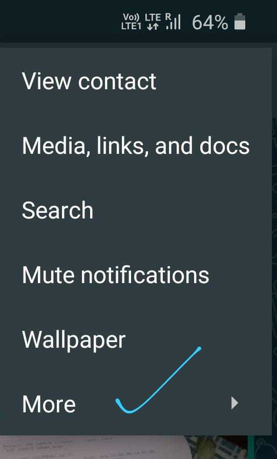 How To Check WhatsApp Chat History
