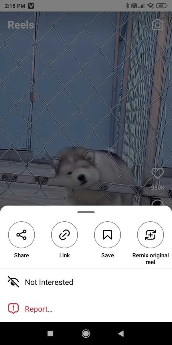 How To Download A Video From Instagram