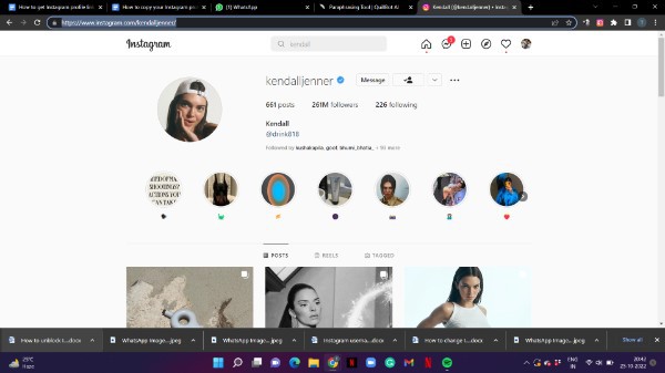 How To Get Instagram Profile Link