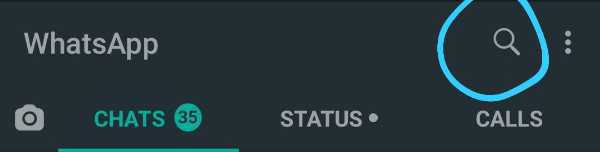 How To Know If Someone Is On WhatsApp Call