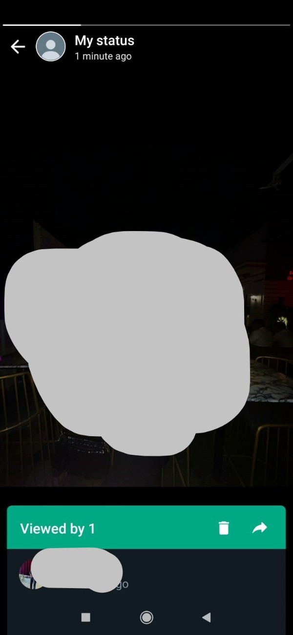 How To Know Who Viewed My WhatsApp Status