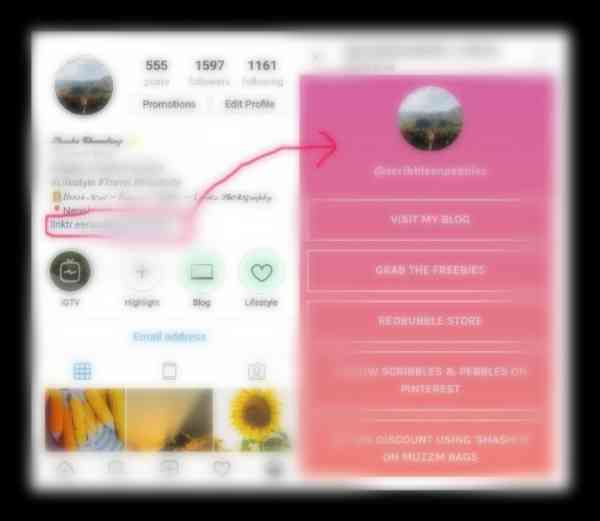 How To Pass The Instagram Bio Limit