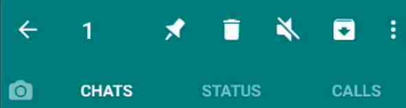 How To Permanently Archive WhatsApp Chat