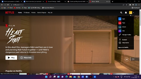 How To Put Password On Netflix Profile