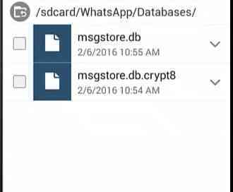 How To Read WhatsApp Database Crypt12 Without Key On PC