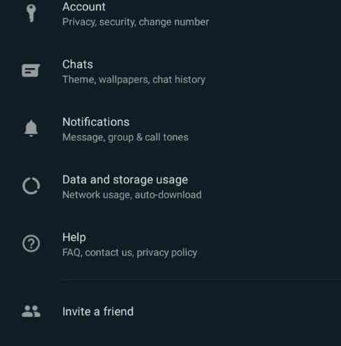 How To Recover WhatsApp Video Call