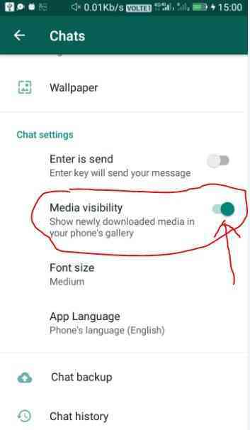 How to save WhatsApp images in gallery