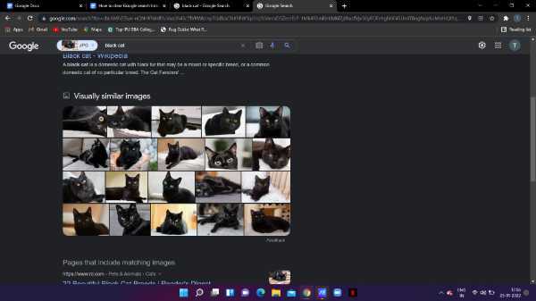 How To Search For Similar Images On Google