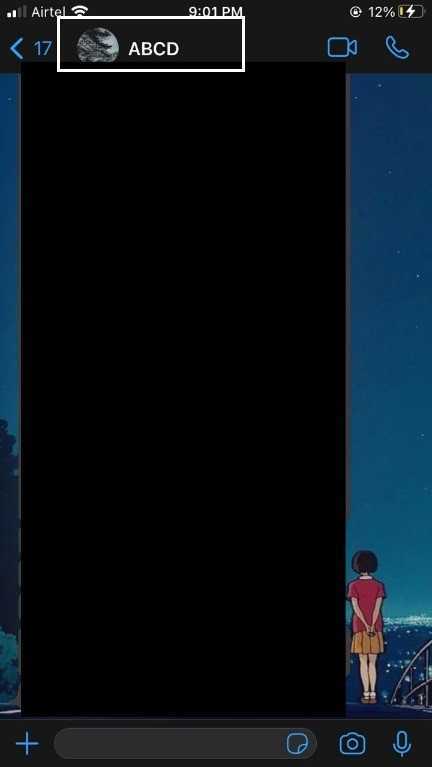 How To See WhatsApp Profile Picture Of Others