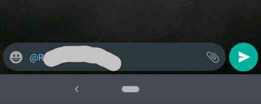How To Send Individual Message In WhatsApp Group