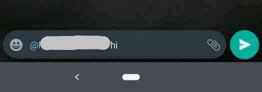 How To Send Individual Message In WhatsApp Group