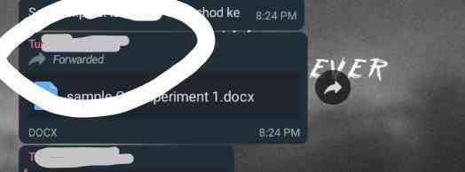 How To Send Individual Message In WhatsApp Group