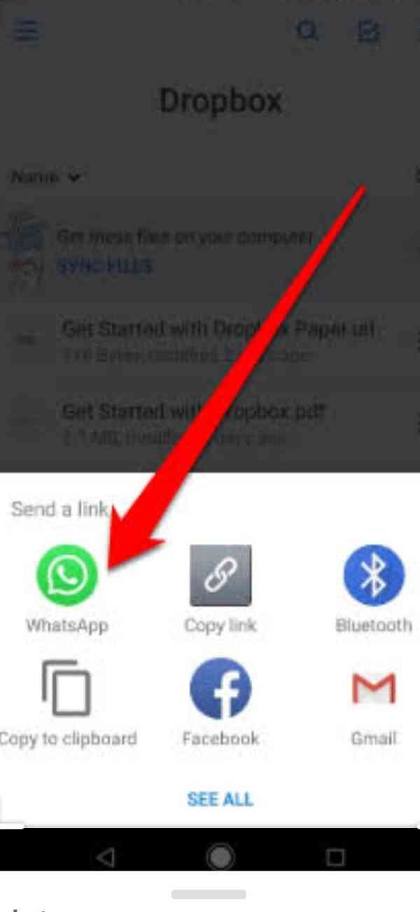 How To Send More Than 100Mb File In WhatsApp