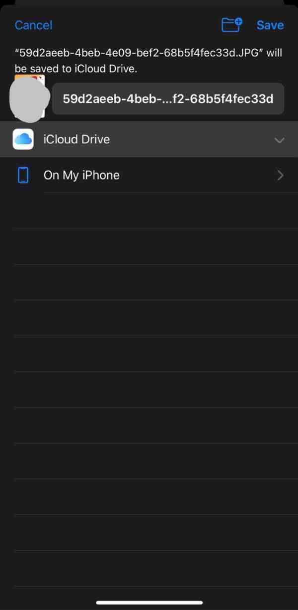 How To Send Original Size Picture On WhatsApp iPhone