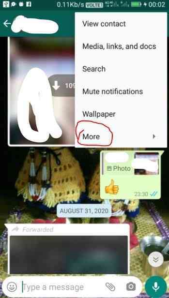 How to send WhatsApp conversation to another person