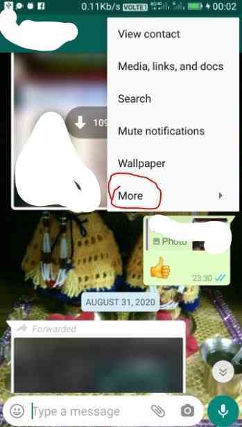 How to send WhatsApp messages to email