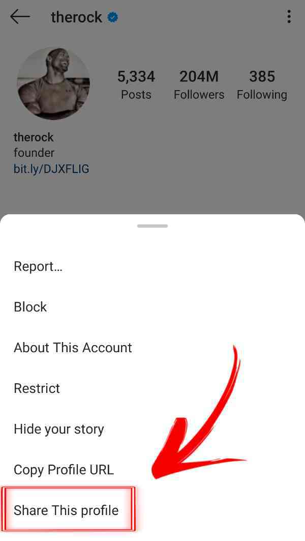 How To Share Instagram Profile