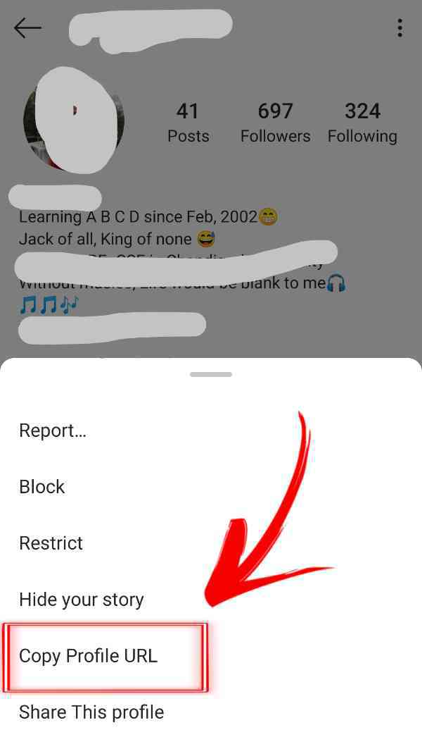 How To Share Instagram Profile On WhatsApp