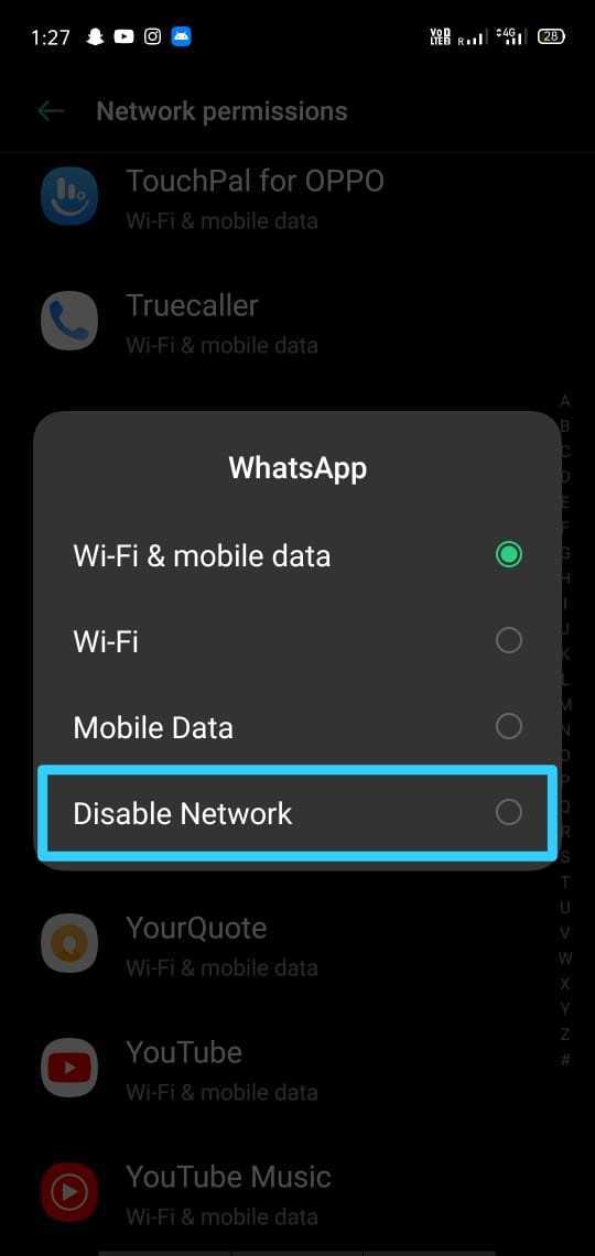 How To Show Offline In WhatsApp When I Am Online