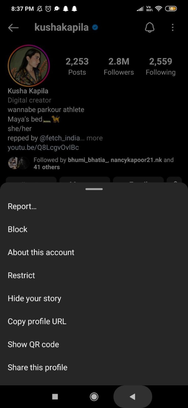 Instagram Bio Copy And Paste