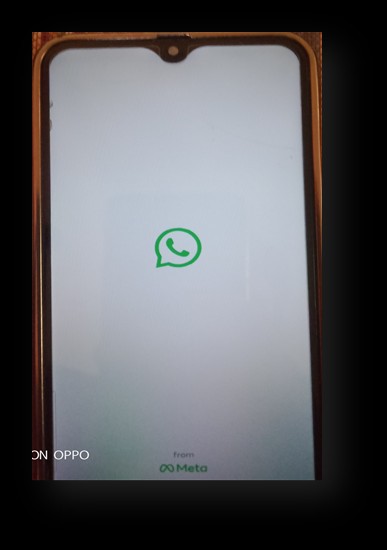 Log Into WhatsApp Online