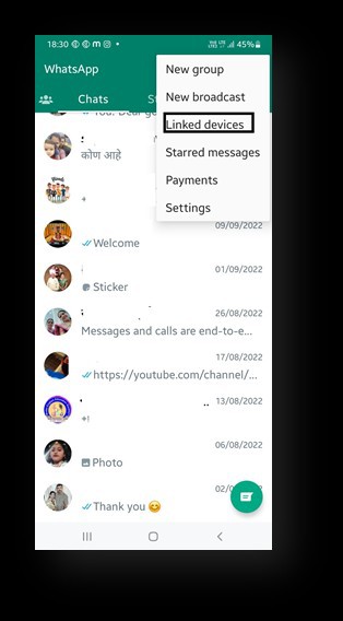 Log Into WhatsApp Online