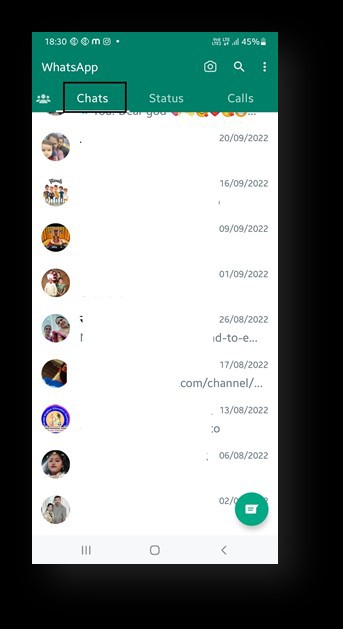 Log Into WhatsApp Online