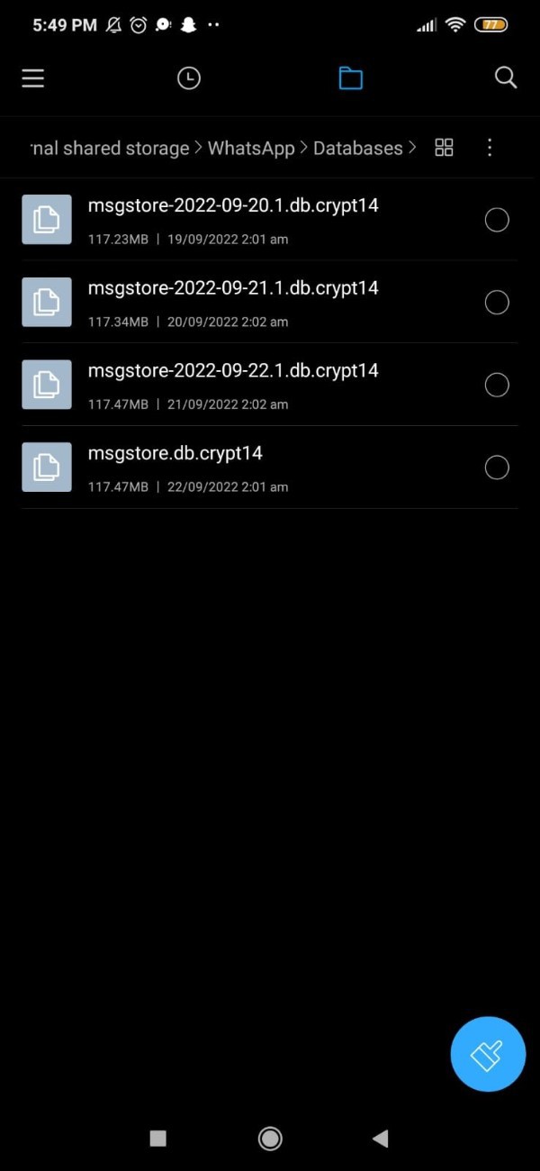 Unable To Restore WhatsApp Backup